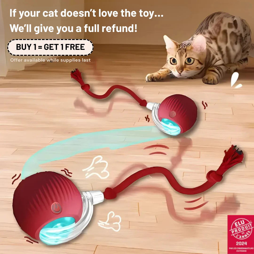 SmartBall - Interactive Motion Cat Toy
