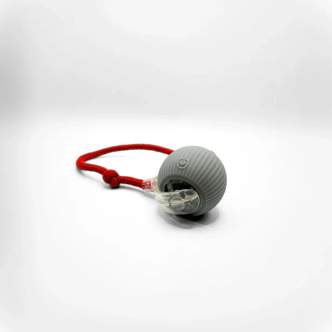 SmartBall - Interactive Motion Cat Toy