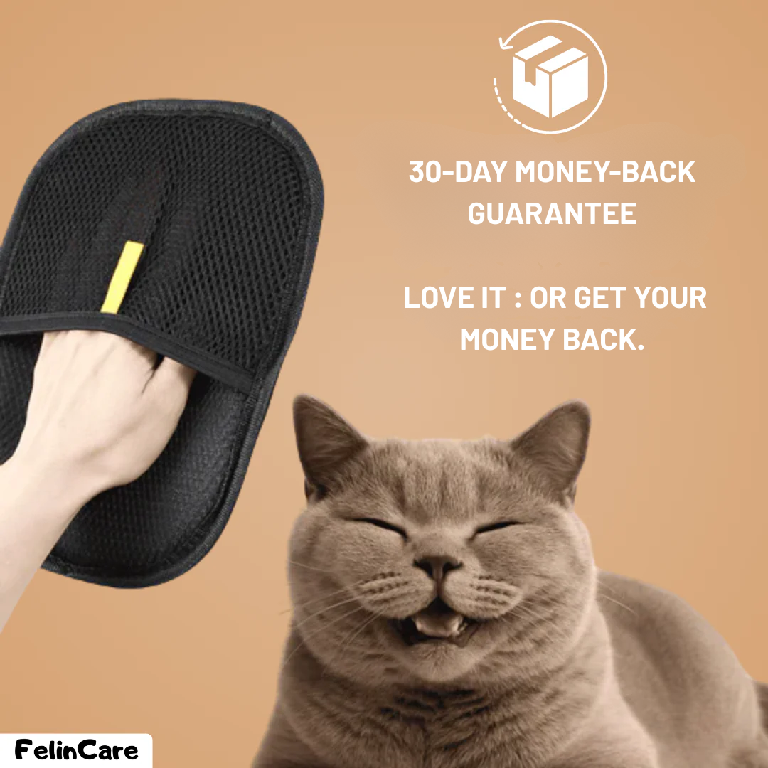 FurClean – Reusable Anti-Fur Cleaning Glove