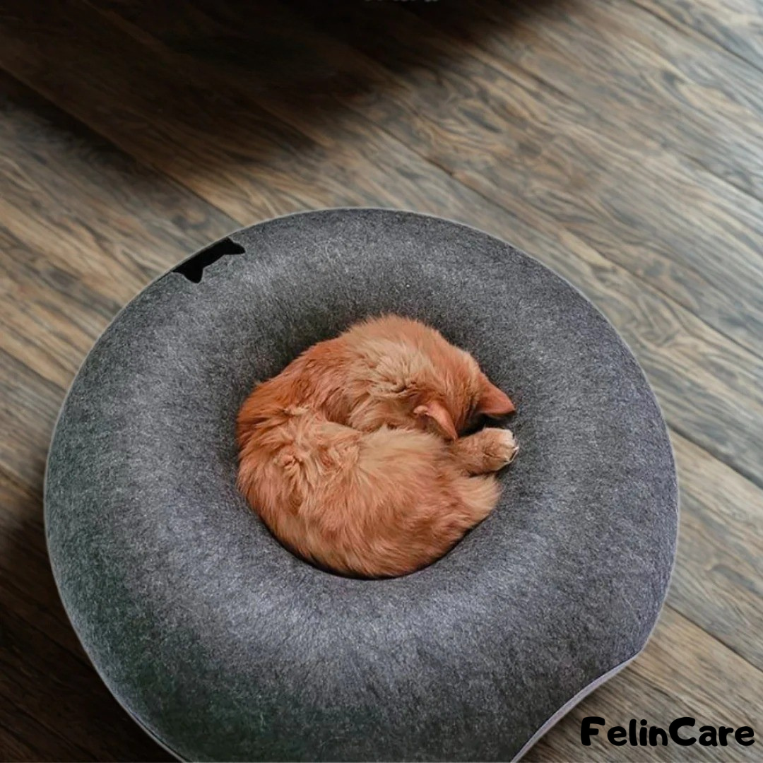 CozyCave - Calming Cat Bed & Hideout