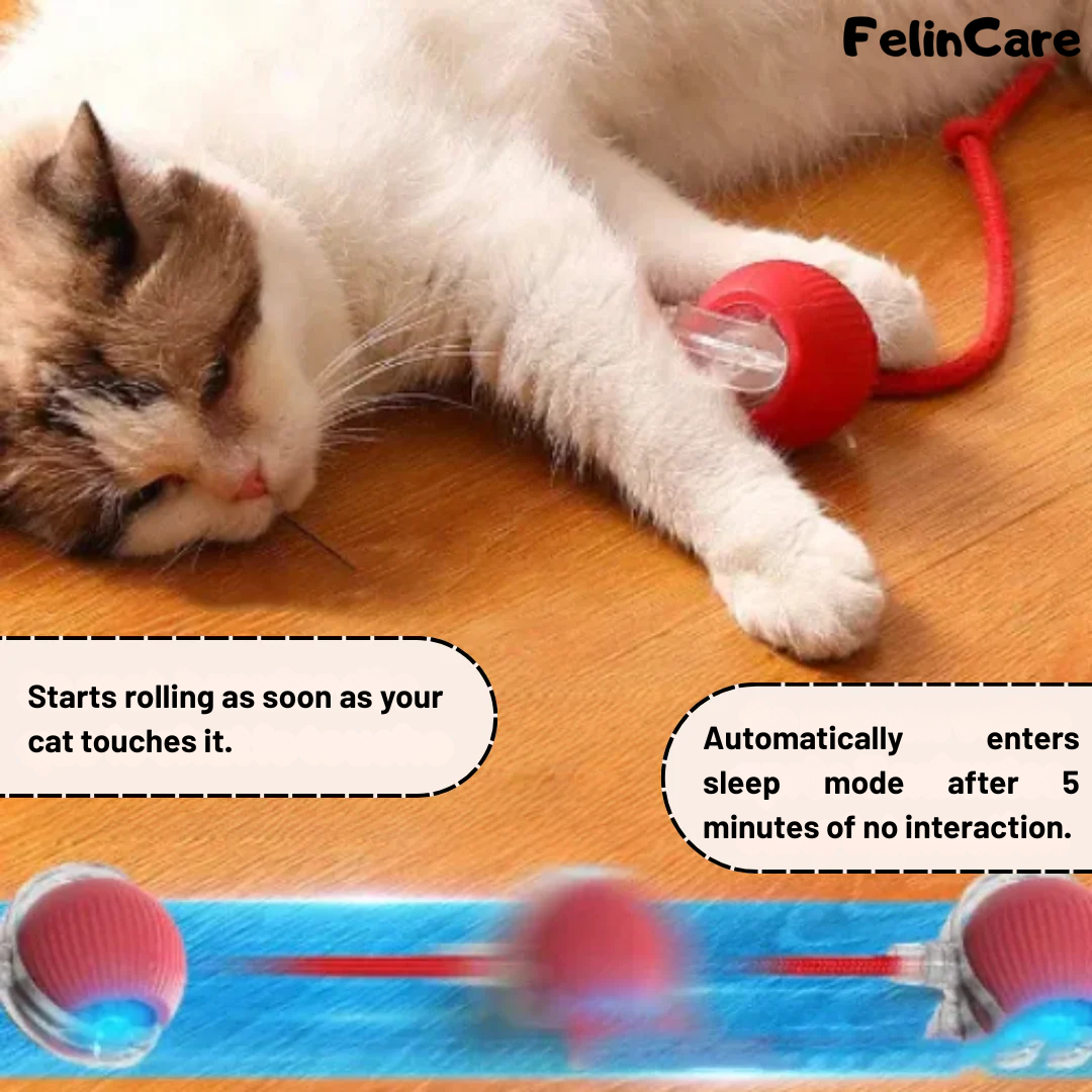 SmartBall - Interactive Motion Cat Toy