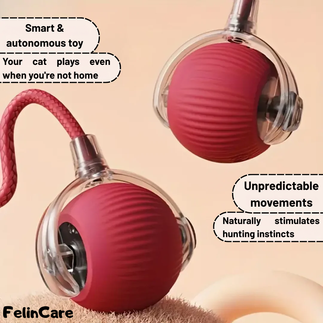 SmartBall - Interactive Motion Cat Toy