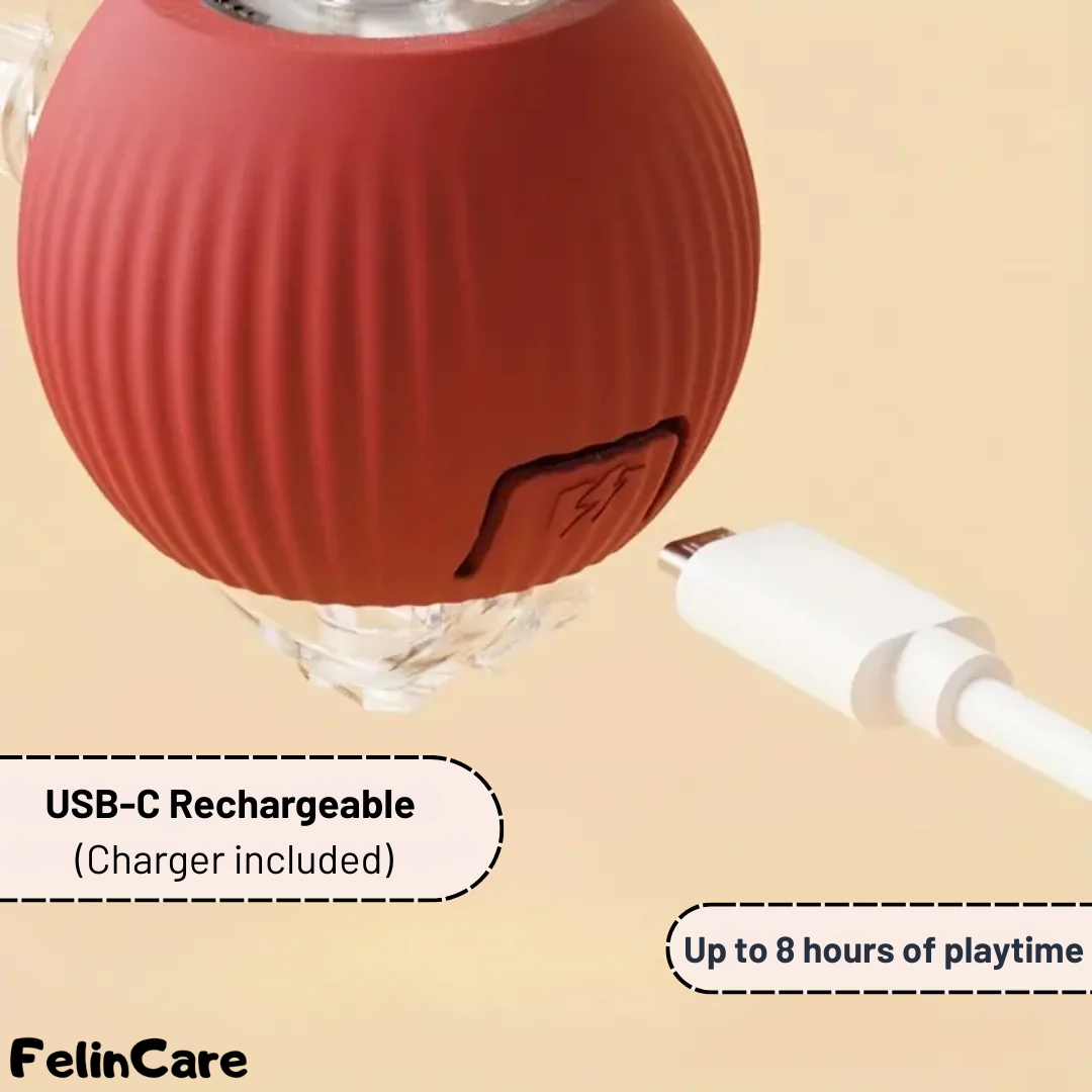 SmartBall - Interactive Motion Cat Toy