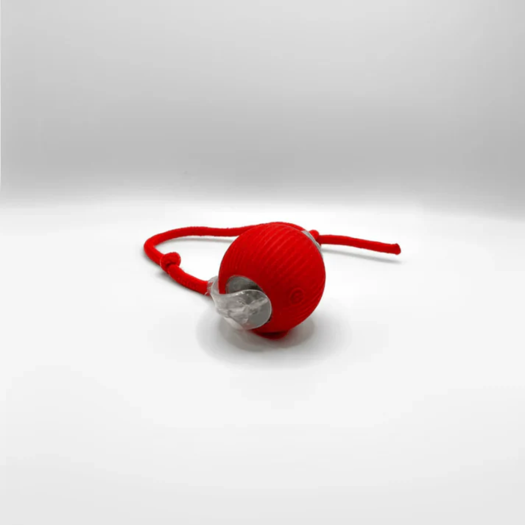 SmartBall - Interactive Motion Cat Toy