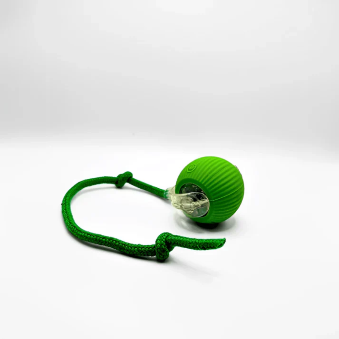SmartBall - Interactive Motion Cat Toy