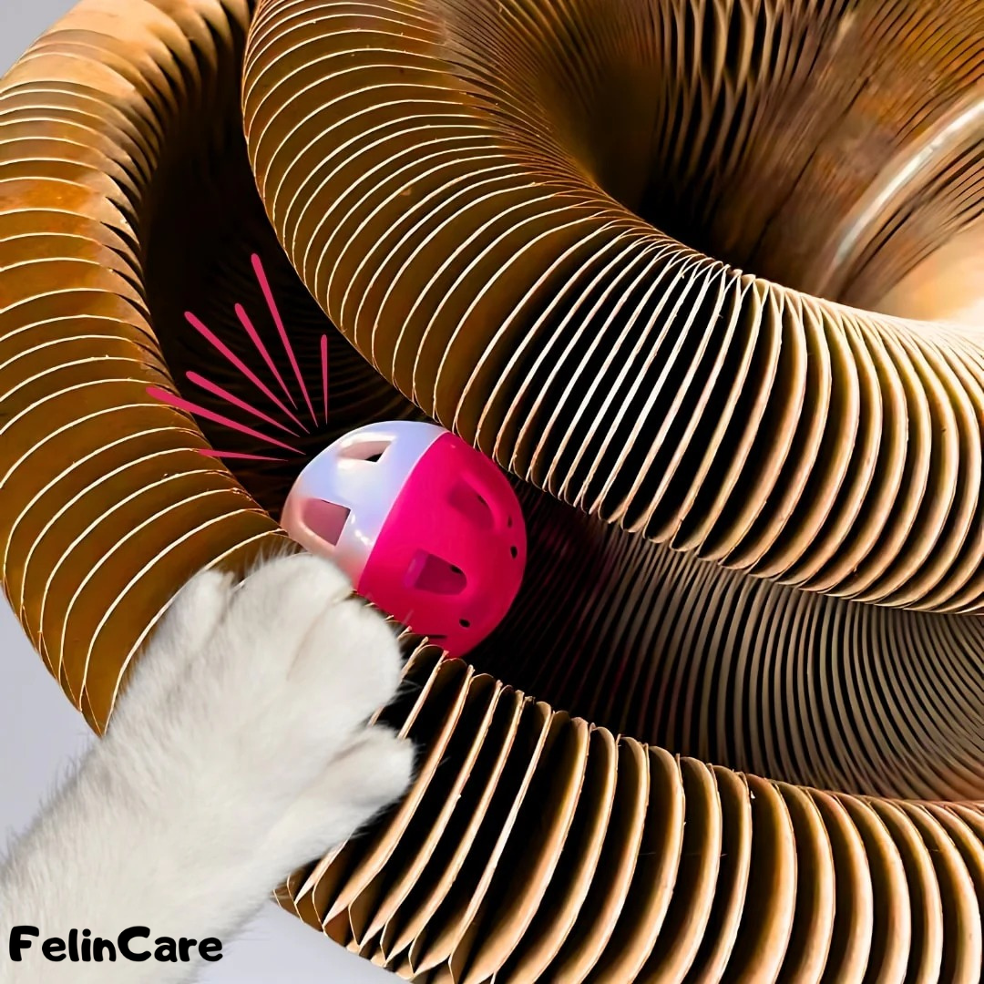 KittySpin - Interactive Scratcher & Play Station