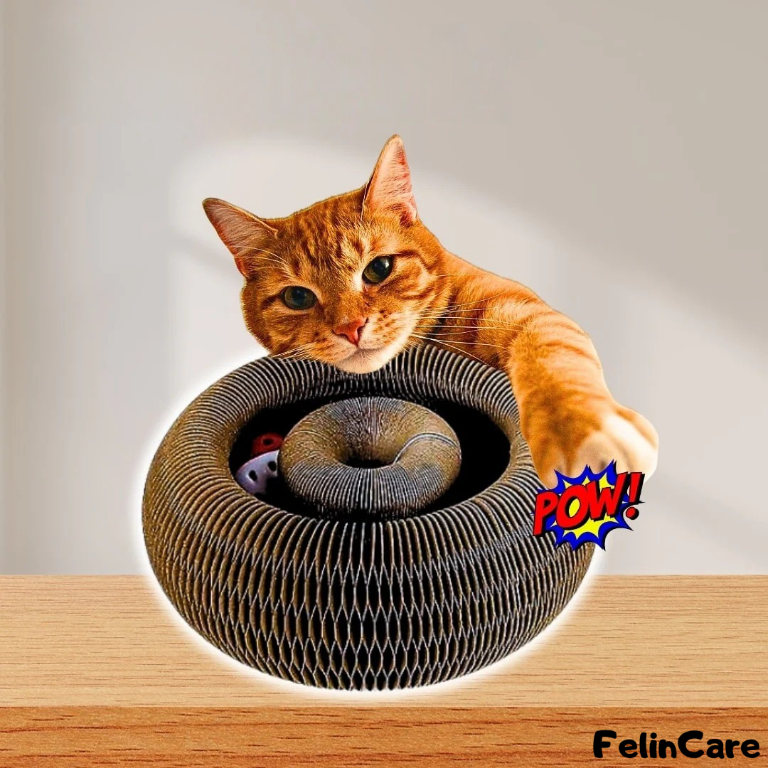 KittySpin - Interactive Scratcher & Play Station