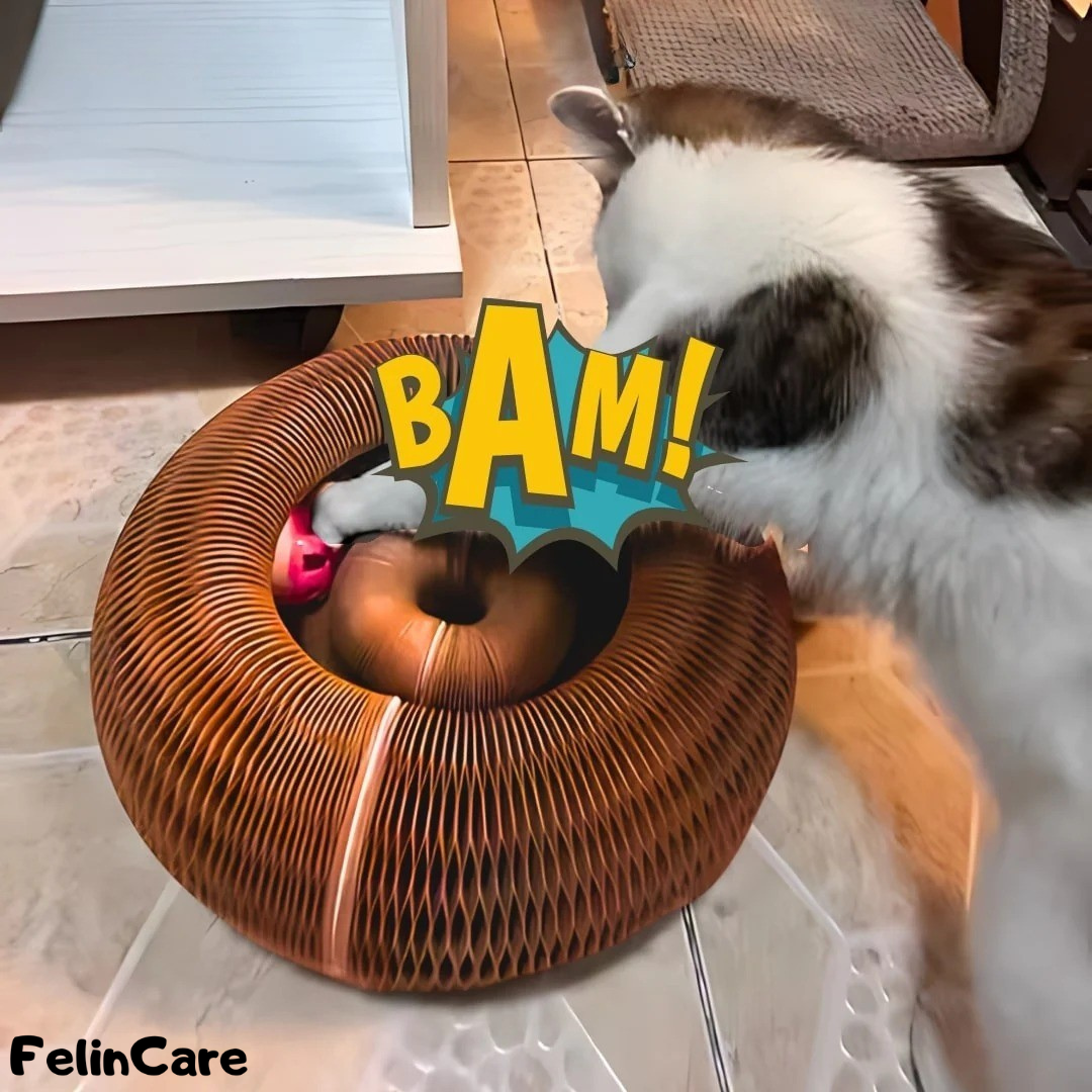 KittySpin - Interactive Scratcher & Play Station